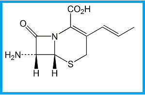 CEFPROZIL EP IMPURITY F